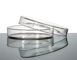 Lots de Boîtes de Petri en verre